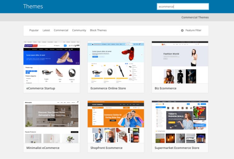 Effective Techniques to Boost Your WooCommerce Store Speed and Performance 2 themes.png