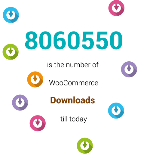 No of Woocommerce Download
