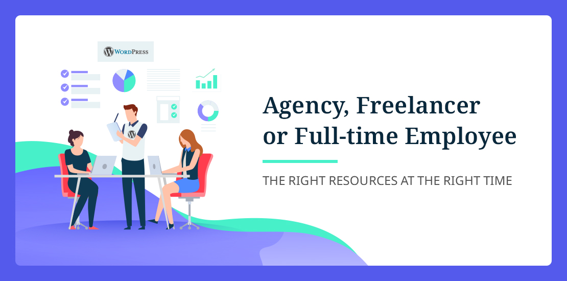 Agency or Freelancer