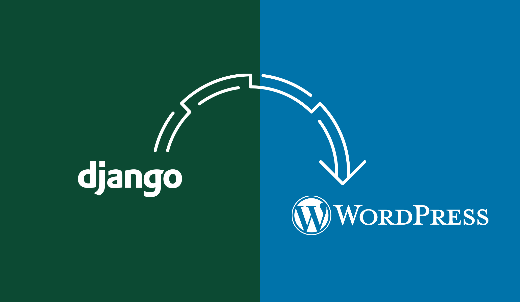 5 Things to keep in Mind Before Migrating Django to WordPress