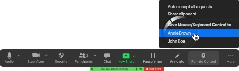 zoom-tips-14