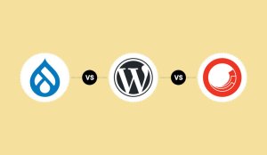 Drupal vs WordPress vs Sitecore Which CMS is Best for Your Business?-mobile-img