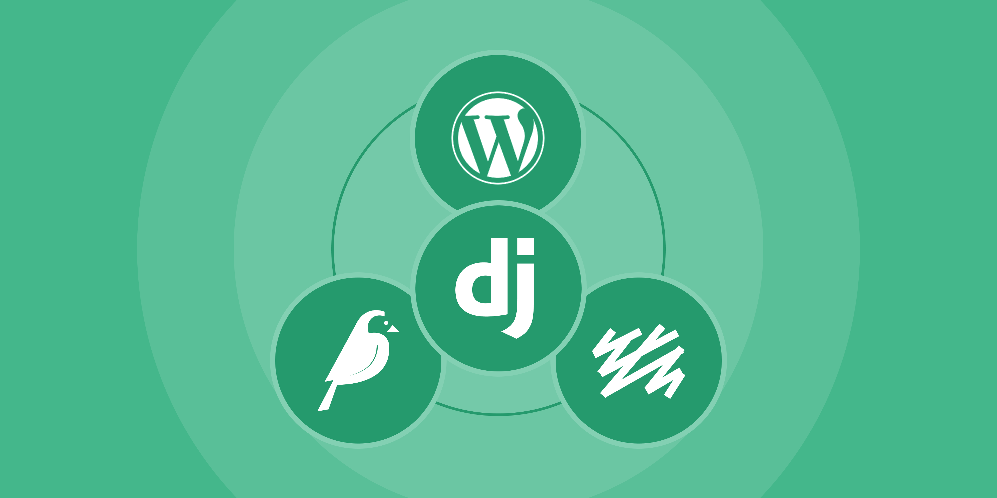 Django CMS Alternative: Top 3 Enterprise Alternatives to Django Img