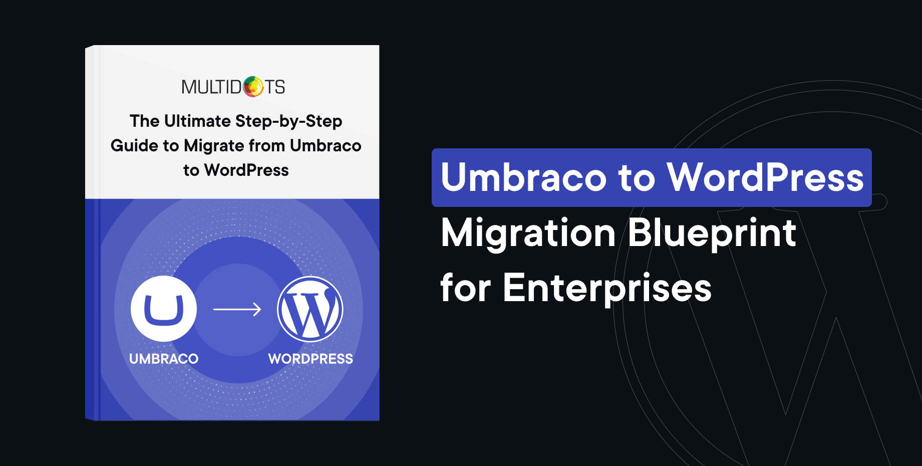 The Ultimate Step-by-Step Guide to Migrate from Umbraco to WordPress Img