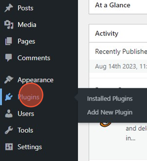 WordPress Plugins
