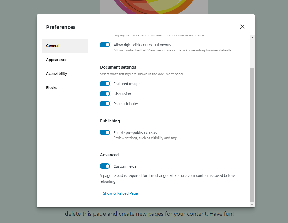 Enabling “Custom fields” in Post Editor Preferences