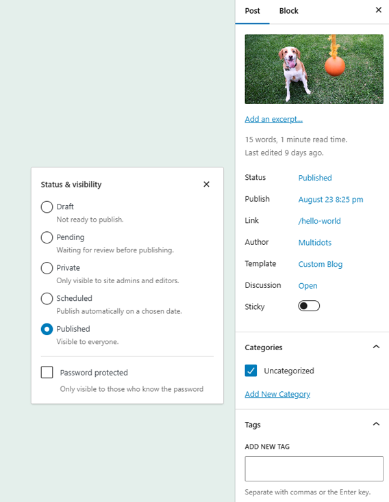 Setting a post’s “Status & visibility” in WP 6.6
