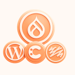 Drupal CMS Alternative: Top 3 Enterprise CMS Alternatives to Drupal