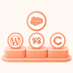 Salesforce CMS Alternatives: Top 3 Enterprise CMS Alternatives to Salesforce CMS