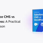 Salesforce CMS vs WordPress: Which CMS is Right for Your Business?